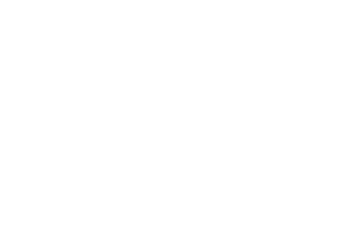 MINT Rehab Logo